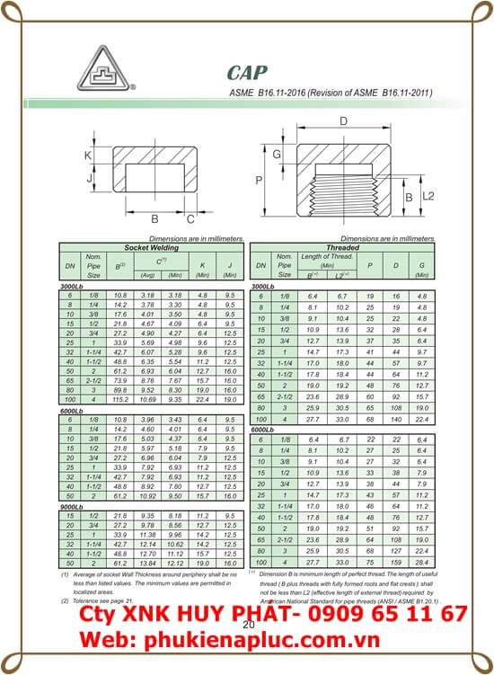 NÚT BỊT REN NGOÀI HÀN THÉP ÁP LỰC A105 CLASS 1500, 3000 ASME B16.11 NÚT BỊT REN NGOÀI HÀN THÉP ÁP LỰC A105 CLASS 1500, 3000 ASME B16.11