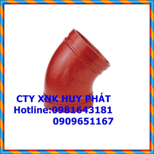 Co nối rãnh coupling 100tong