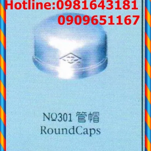 Nắp bit ren mạ kẽm DZ|