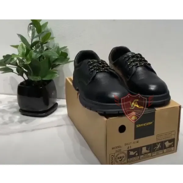 Giày Bảo Hộ DH DHCEP-C191
