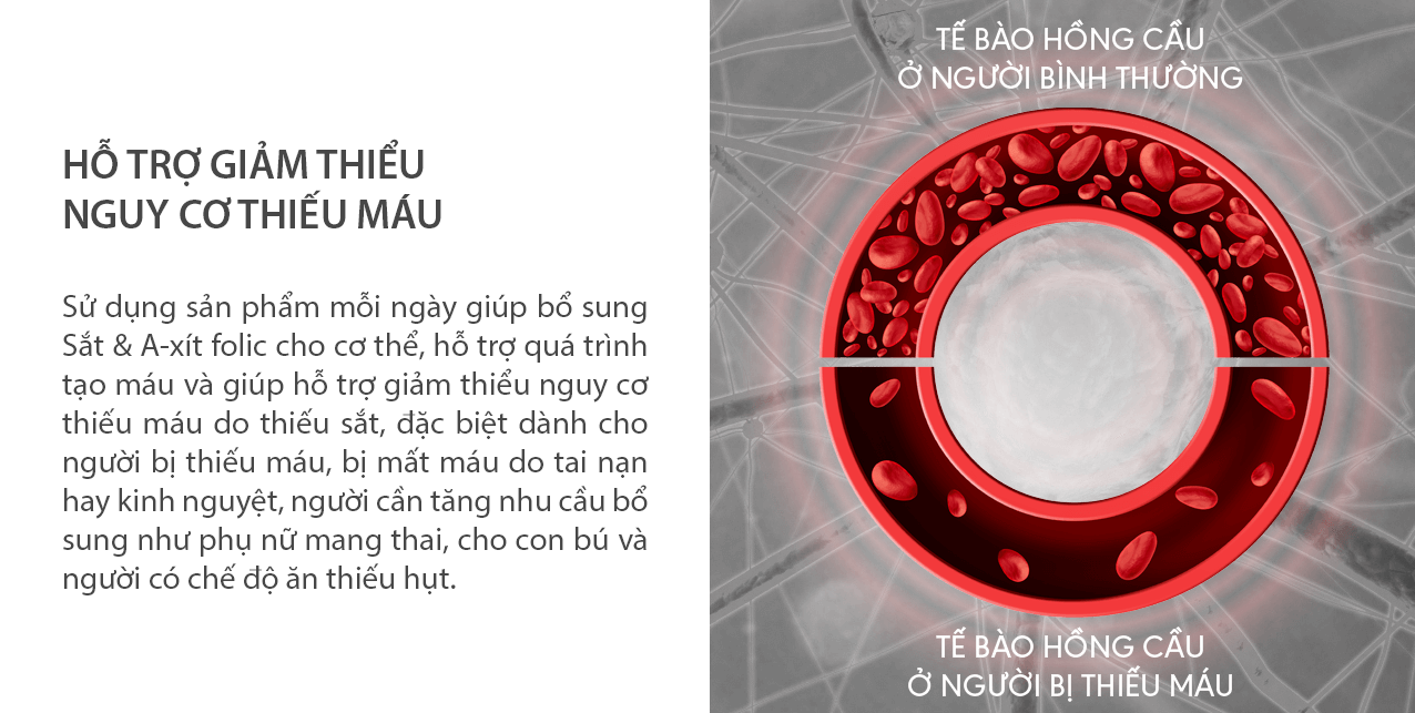 ACID FOLIC NUTRILITE HỖ TRỢ GIẢM NGUY CƠ THIẾU MÁU