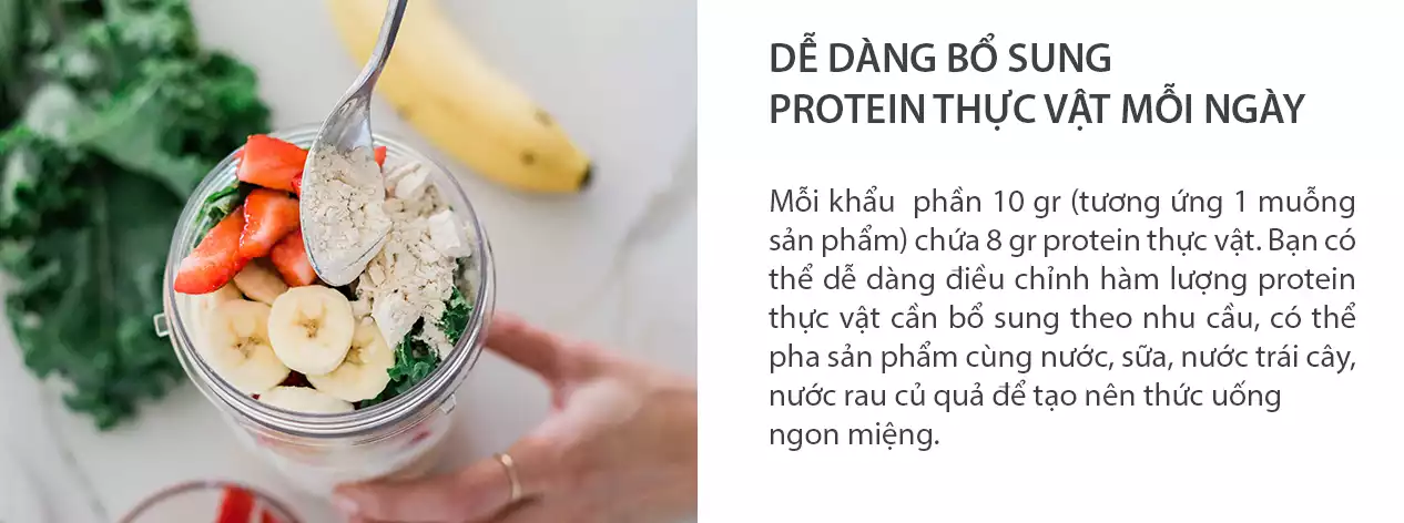 Nutrilite All Plant Protein Powder dễ dàng bổ sung protein mỗi ngày