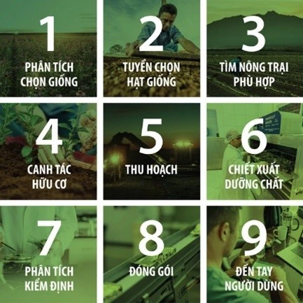 Quy trình 9 bước độc đáo chỉ có ở Nutrilite