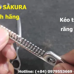 Mài kéo Sakura cực bén và mới như vừa đi mua ở tiệm, sự thật 100% với kỹ thuật mài kéo công nghệ cao