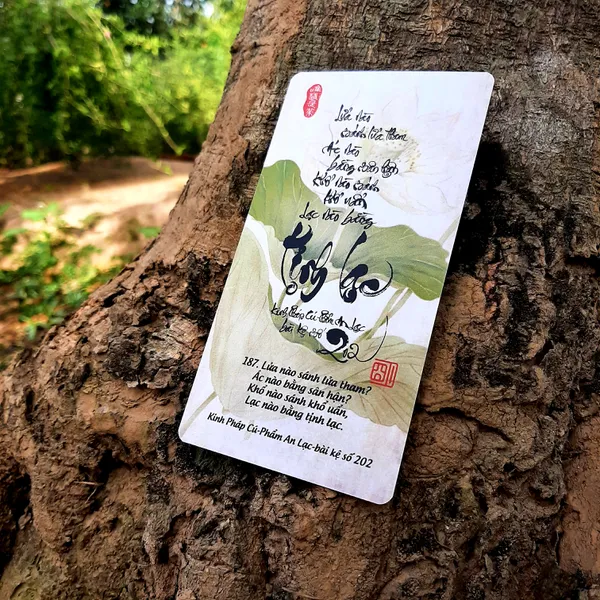 BỘ 150 LỜI KINH PHÁP CÚ (BỘ PHÁP CÚ 2)