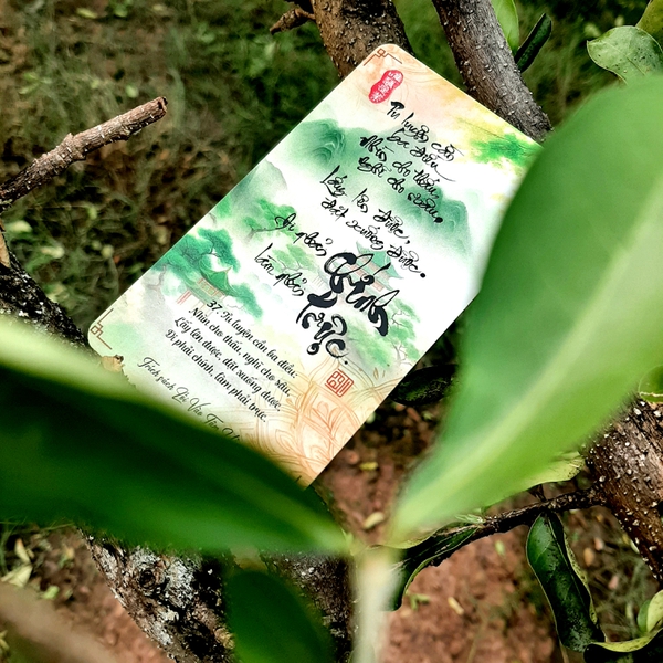 BỘ HIỀN THIỆN 2 gồm 102 thẻ thư pháp 7x12 cm - 102 lời hiền nhân ý nghĩa hướng thiện - Chất liệu cao cấp - Thiết kế tinh tế - Tặng quà bình an
