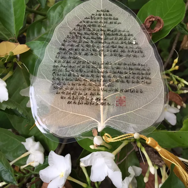 Lá bồ đề lá lớn ghi bài CHÚ ĐẠI BI