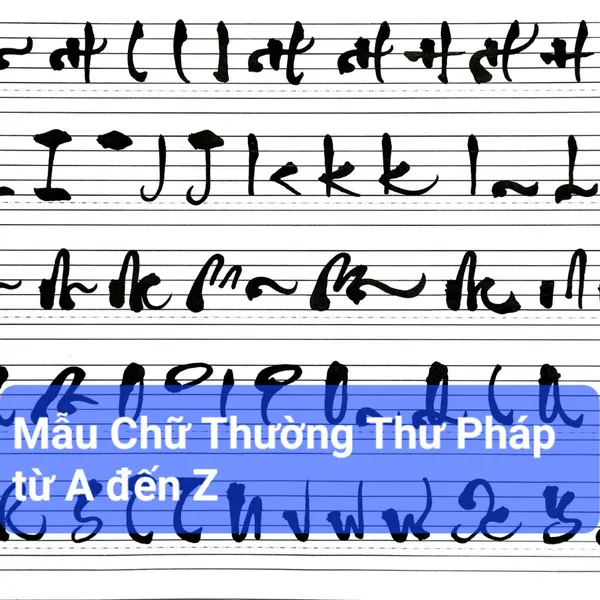 Bộ Tài Liệu Tự Học Viết Thư Pháp Chữ Nhỏ Theo Video Thành Thạo Sau 2 Tháng