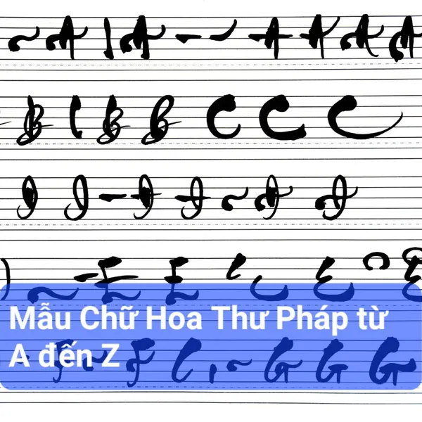 Bộ Tài Liệu Tự Học Viết Thư Pháp Chữ Nhỏ Theo Video Thành Thạo Sau 2 Tháng