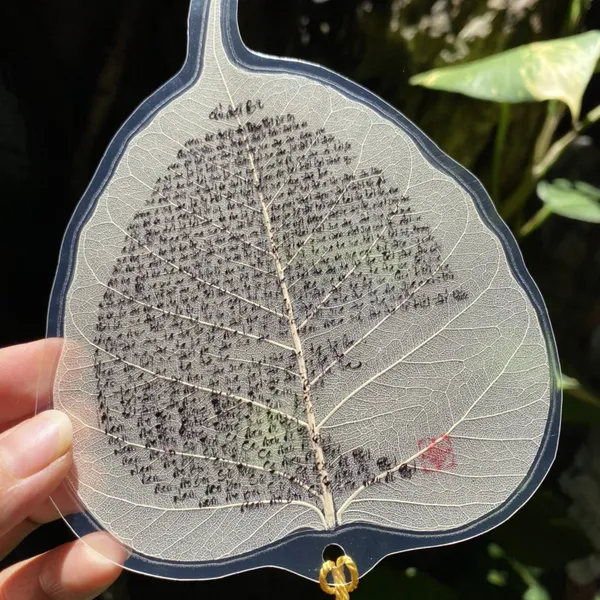 Lá bồ đề lá lớn ghi bài CHÚ ĐẠI BI