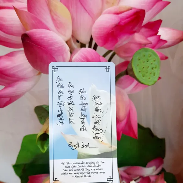 LỜI THIỀN TUỆ