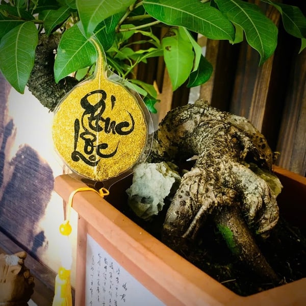 Lá bồ đề dát vàng viết tay chữ thư pháp chữ PHÚC LỘC  có ép plastic