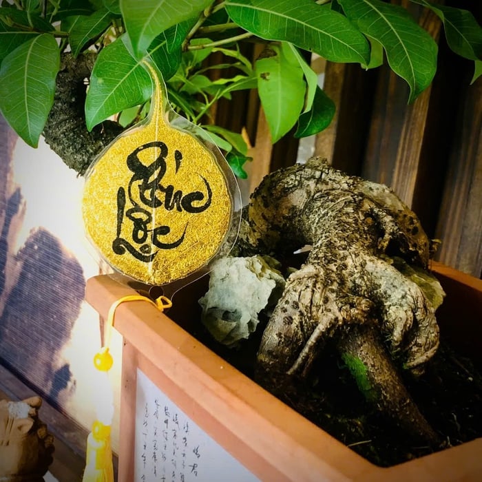 Lá bồ đề dát vàng viết tay chữ thư pháp chữ PHÚC LỘC  có ép plastic