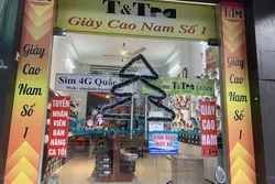 TỰ SỰ NGÀY GIÁNG SINH TỰ SỰ NGÀY GIÁNG SINH