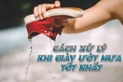 Cách Xử Lý Giày Khi Ướt Mưa Tốt Nhất Cách Xử Lý Giày Khi Ướt Mưa Tốt Nhất