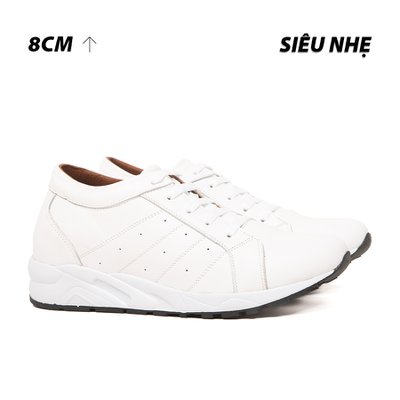 [ 8CM ] Giày Cao Nam T19TR