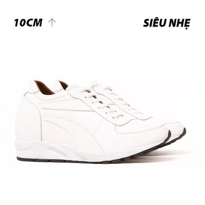 [ 10CM ] Giày Cao Nam T28T