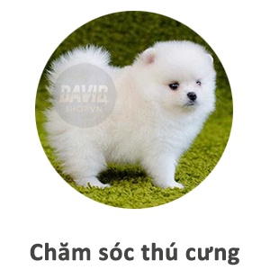 Chăm sóc thú cưng