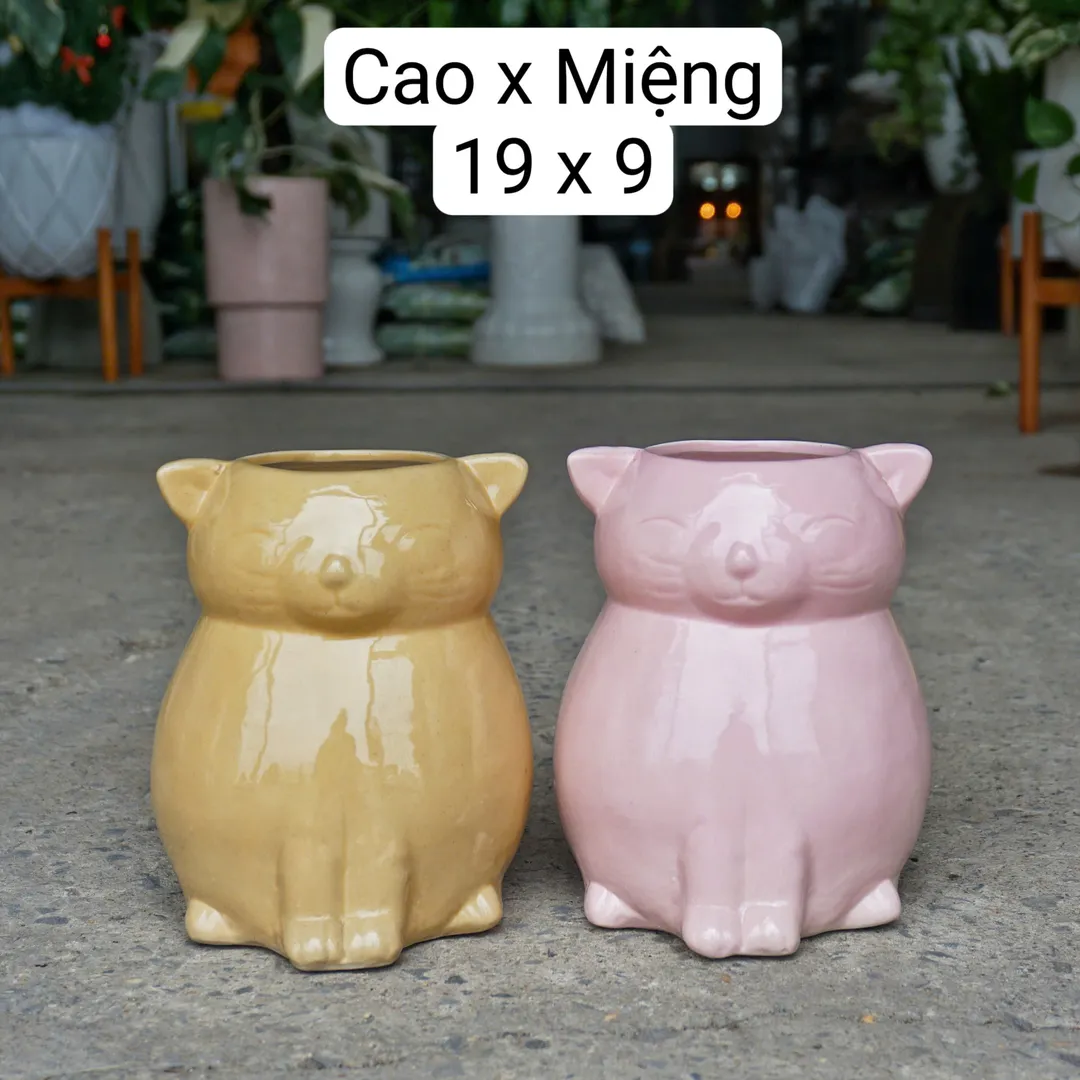 Chậu men mèo vàng/hồng