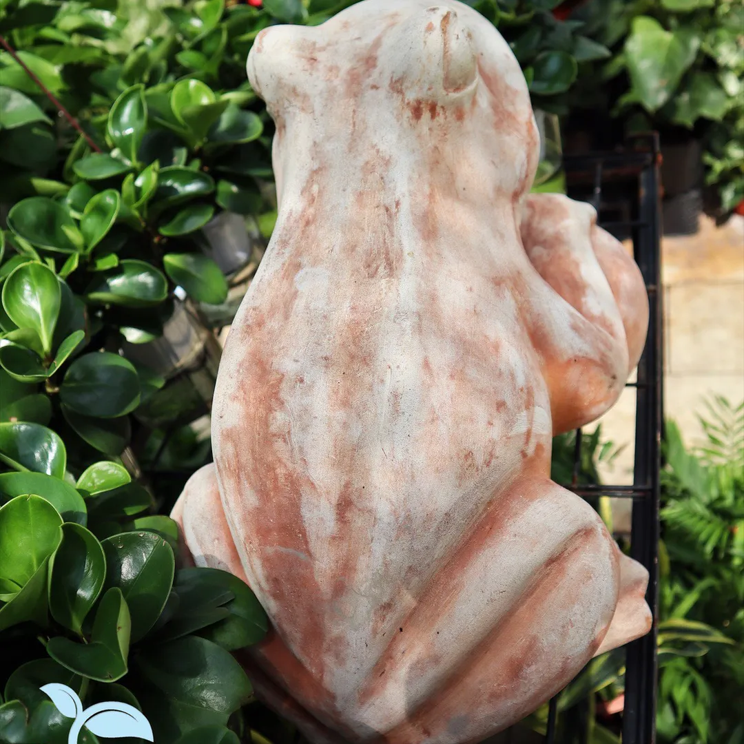 TƯỢNG ĐẤT NUNG ẾCH LỚN