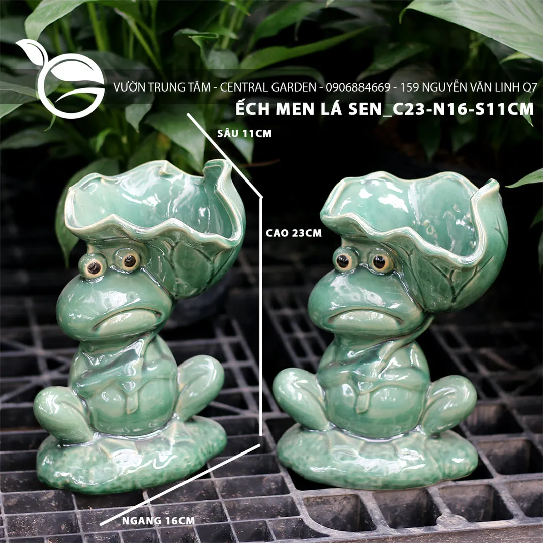 ẾCH MEN LÁ SEN