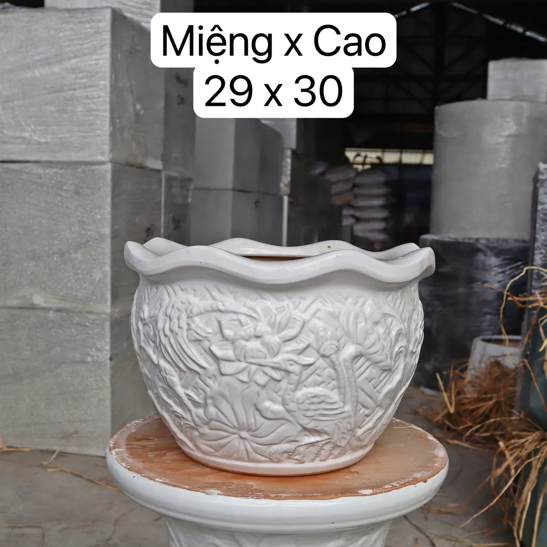 Chậu bèo trắng