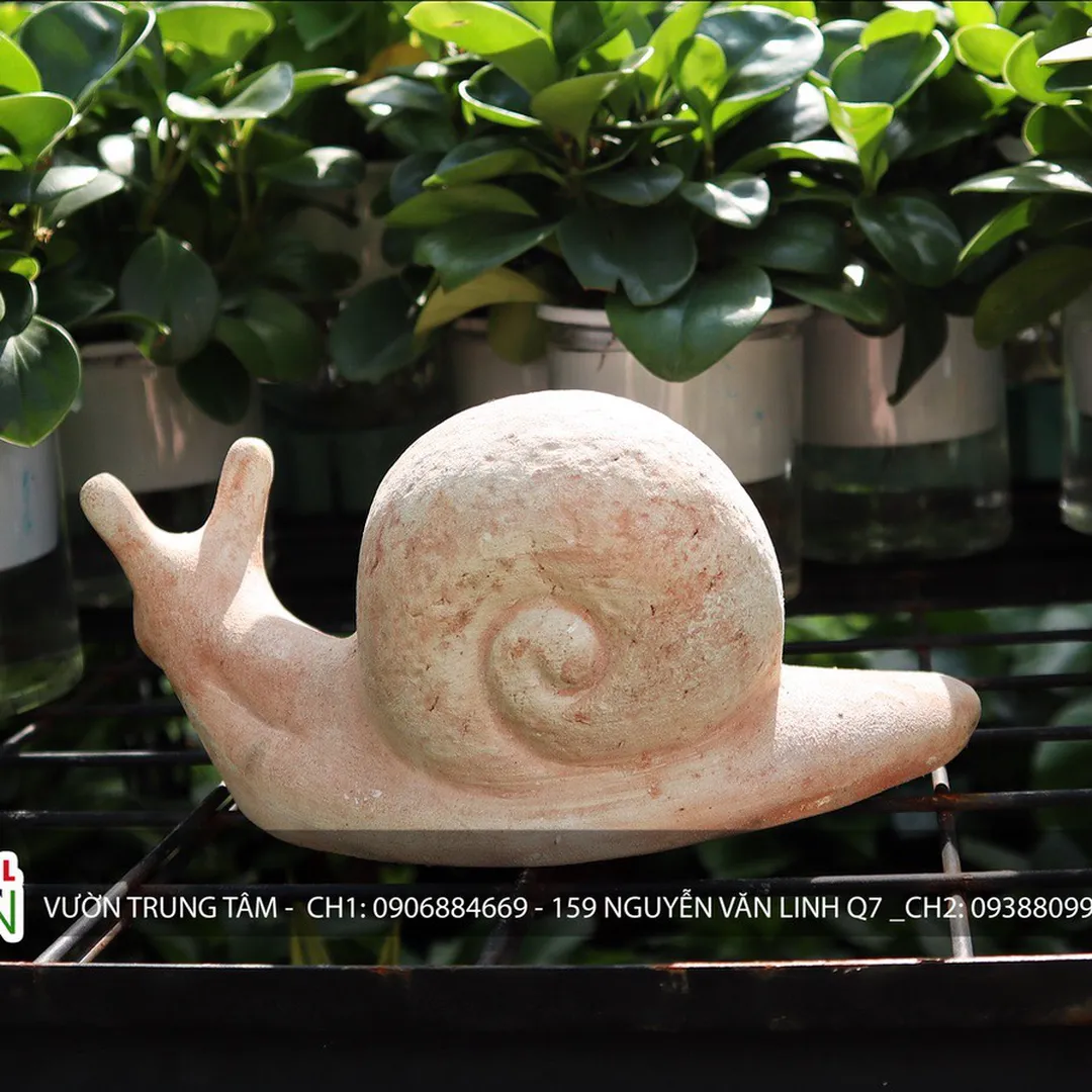 TƯỢNG ĐẤT NUNG ỐC SÊN