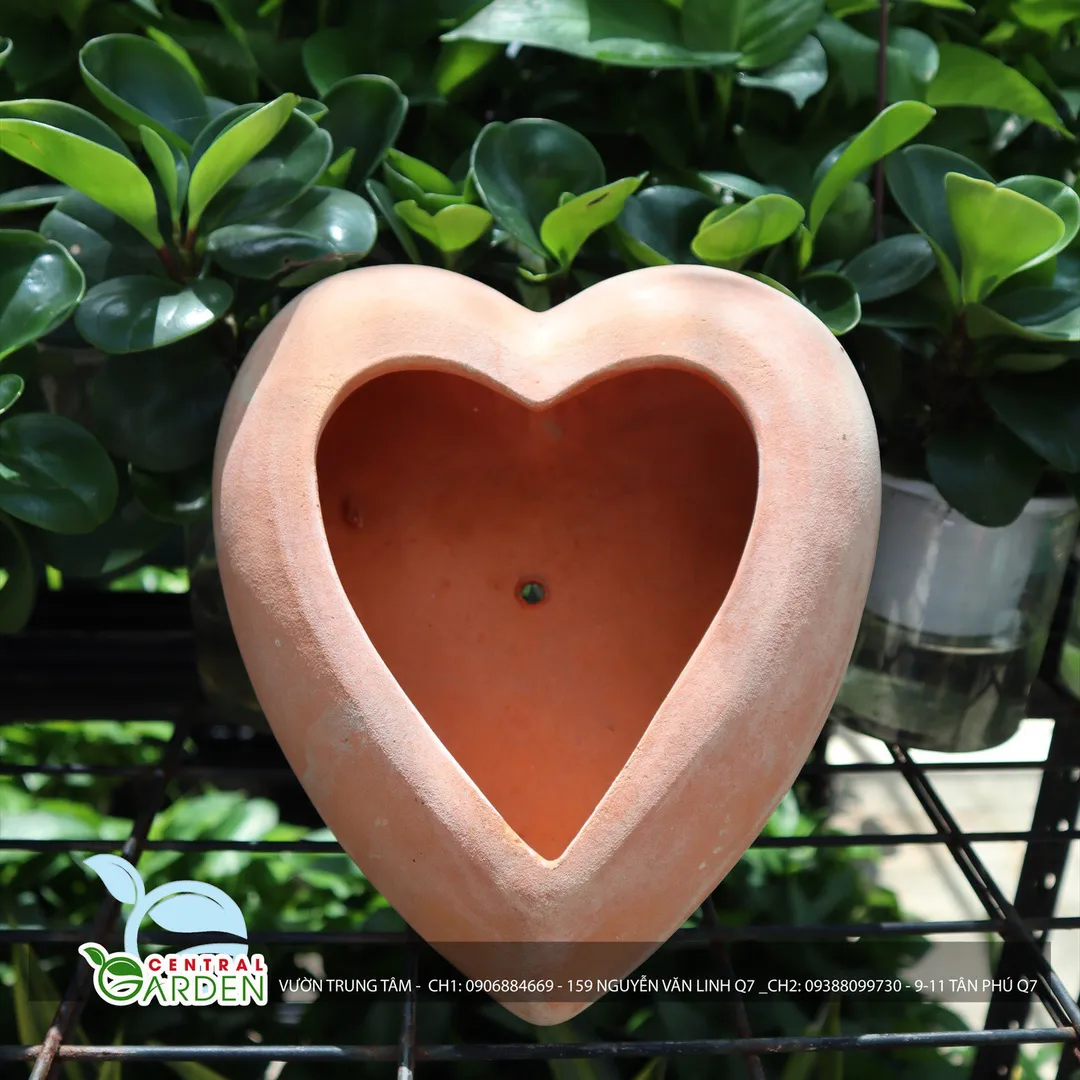 CHẬU ĐẤT NUNG TRÁI TIM LỚN
