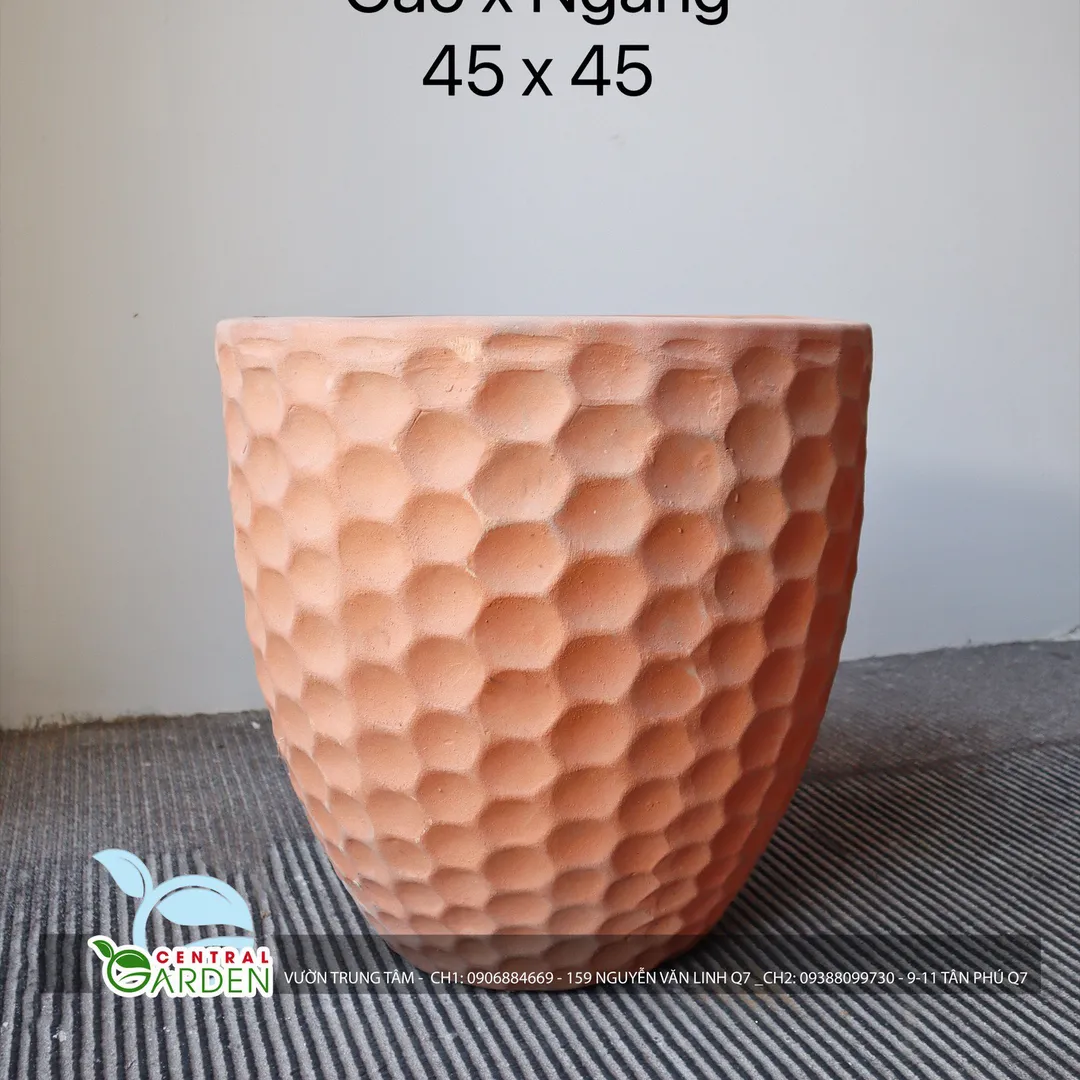 CHẬU ĐẤT NUNG TRỤ DA CÁ LỚN