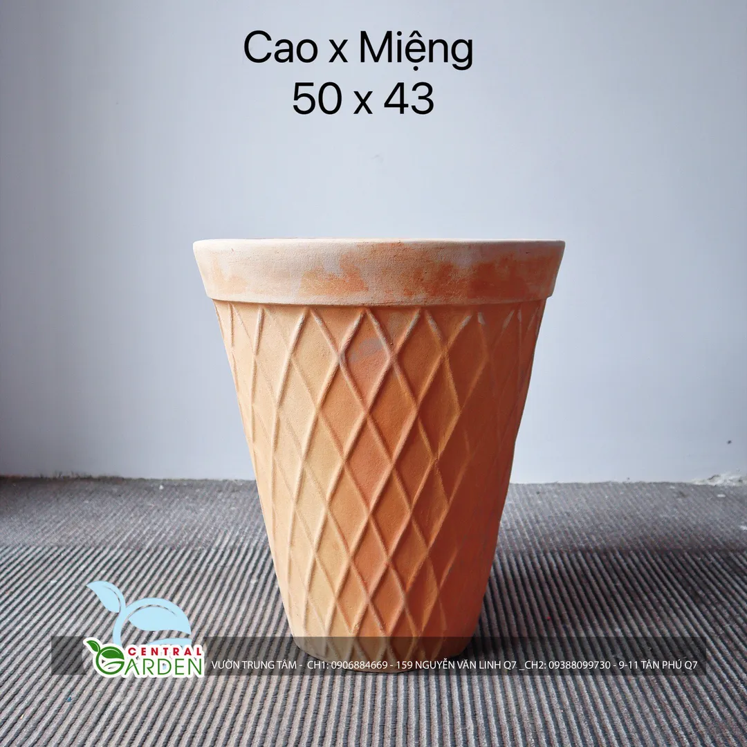 CHẬU ĐẤT NUMG 24