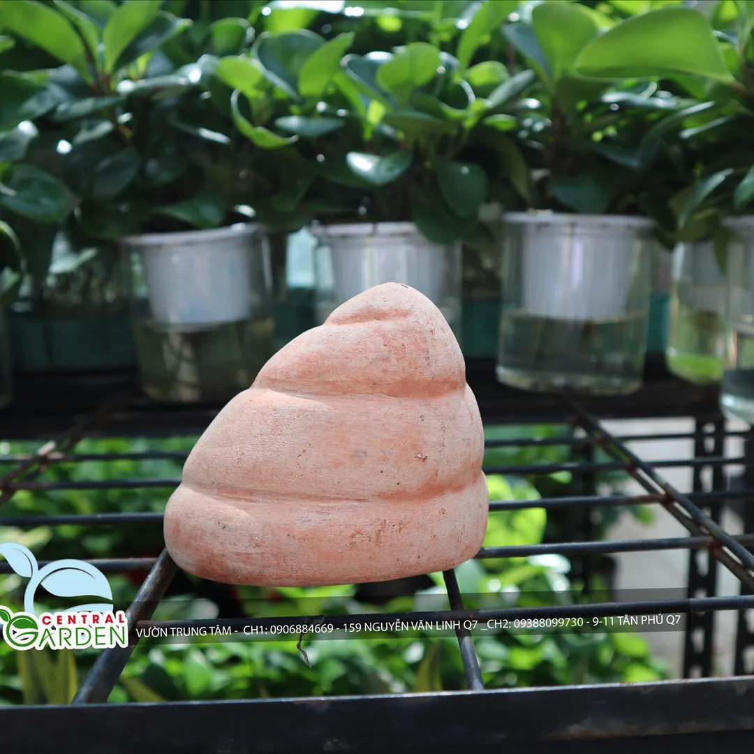 TƯỢNG ĐẤT NUNG VỎ ỐC