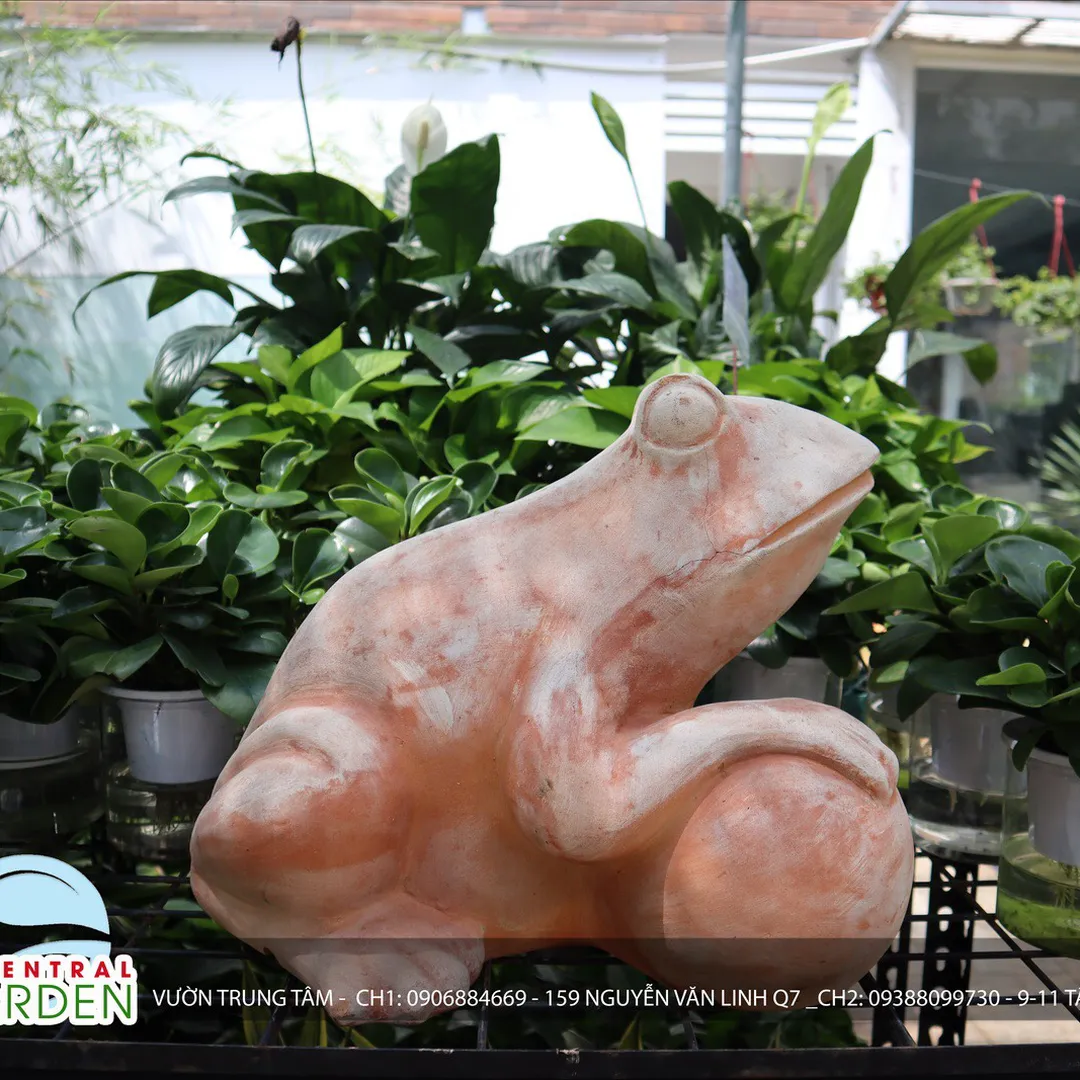 TƯỢNG ĐẤT NUNG ẾCH LỚN