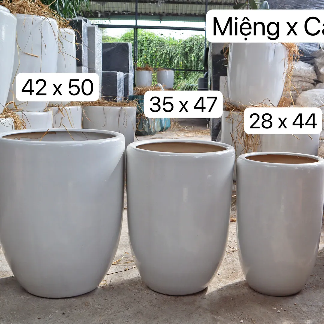 Chậu bom 50 trắng