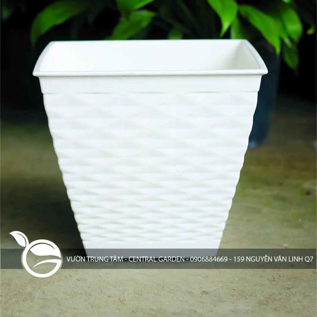 CHẬU NHỰA ĐAN LỤC BÌNH 180