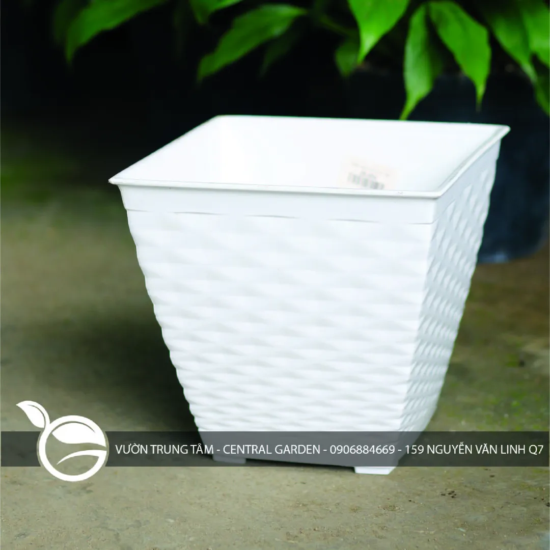 CHẬU NHỰA ĐAN LỤC BÌNH 130