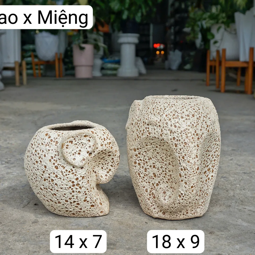 Chậu voi men sôi