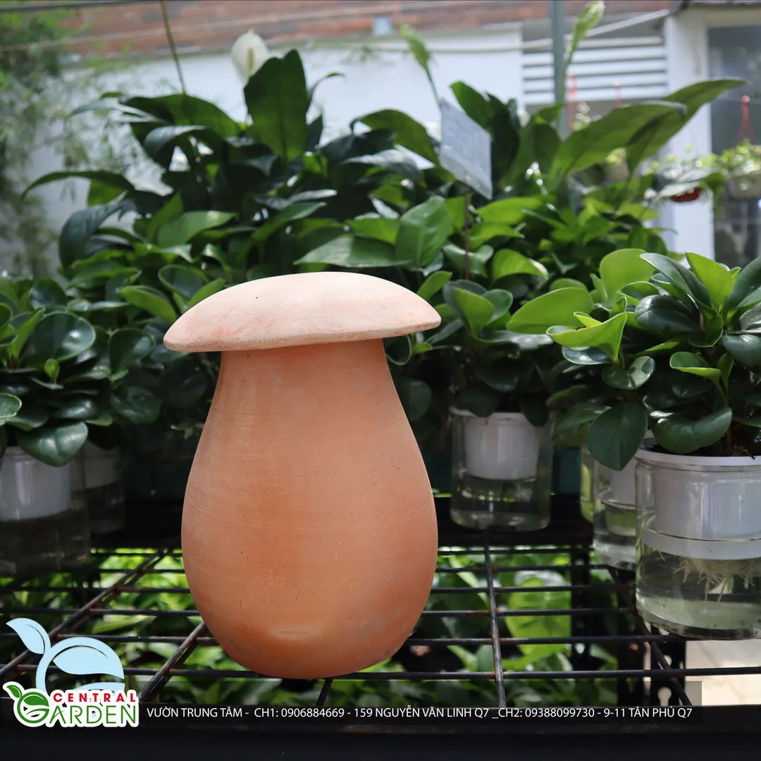 TƯỢNG ĐẤT NUNG HÌNH NẤM LỚN