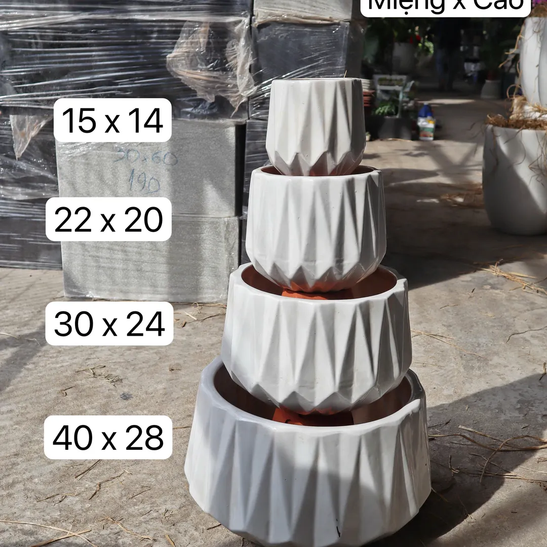 Chậu men múi khế