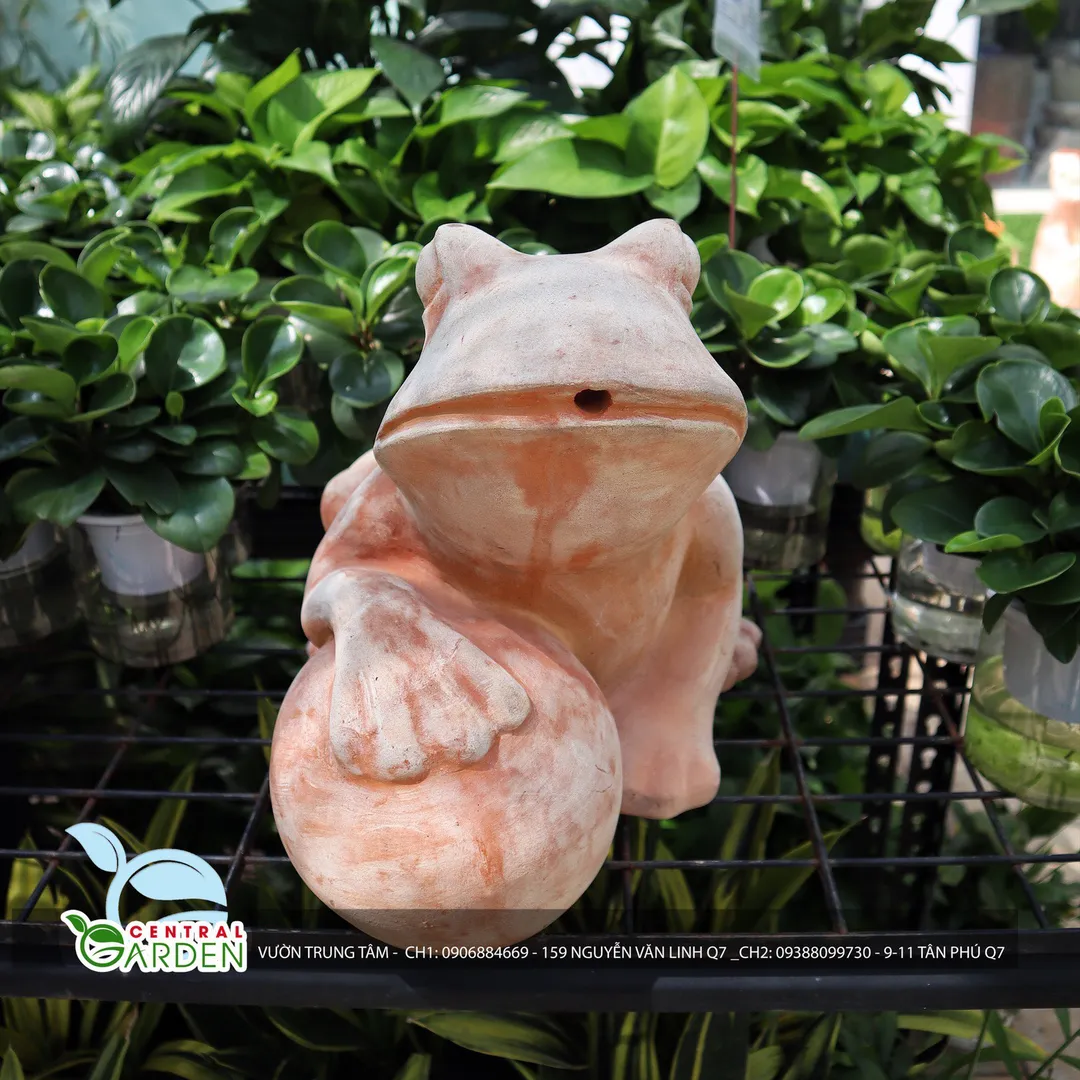 TƯỢNG ĐẤT NUNG ẾCH LỚN