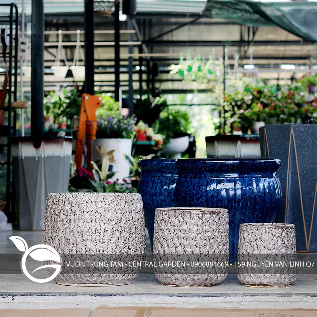 CHẬU MEN TỔ ONG LỚN