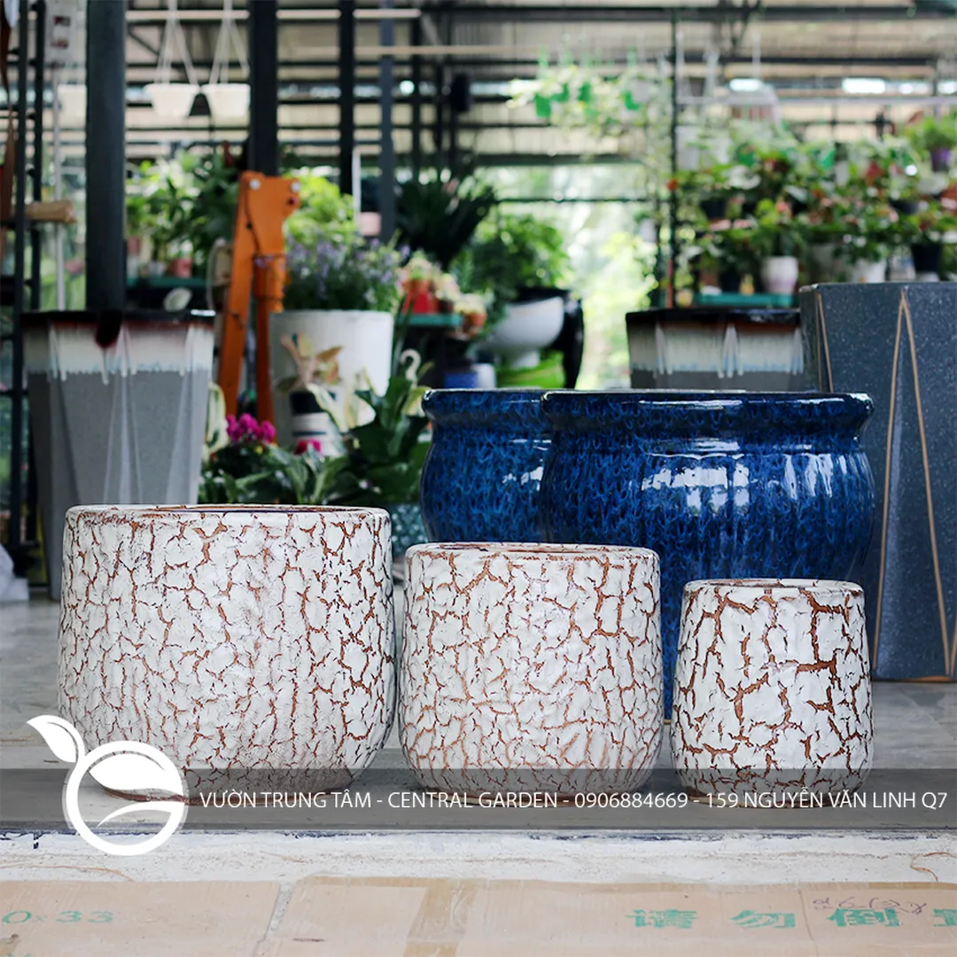 CHẬU MEN TỔ ONG TRUNG