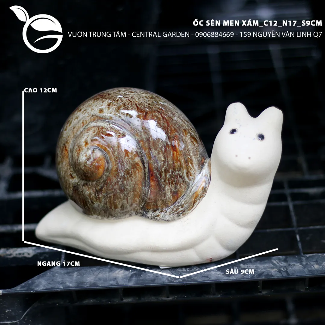 ỐC SÊN MEN XÁM