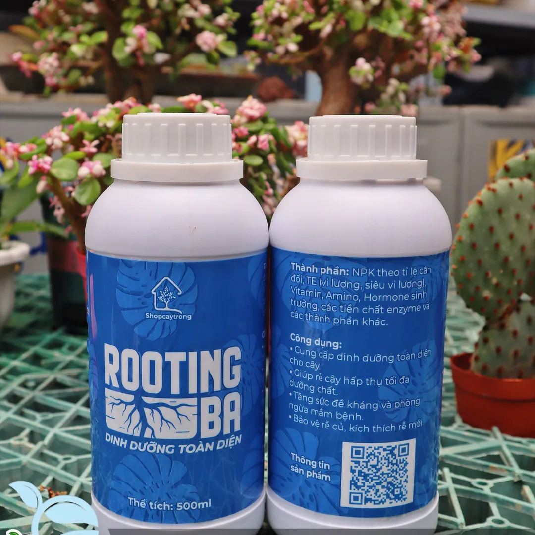 Dung dịch thủy sinh Rooting Ba 500ml