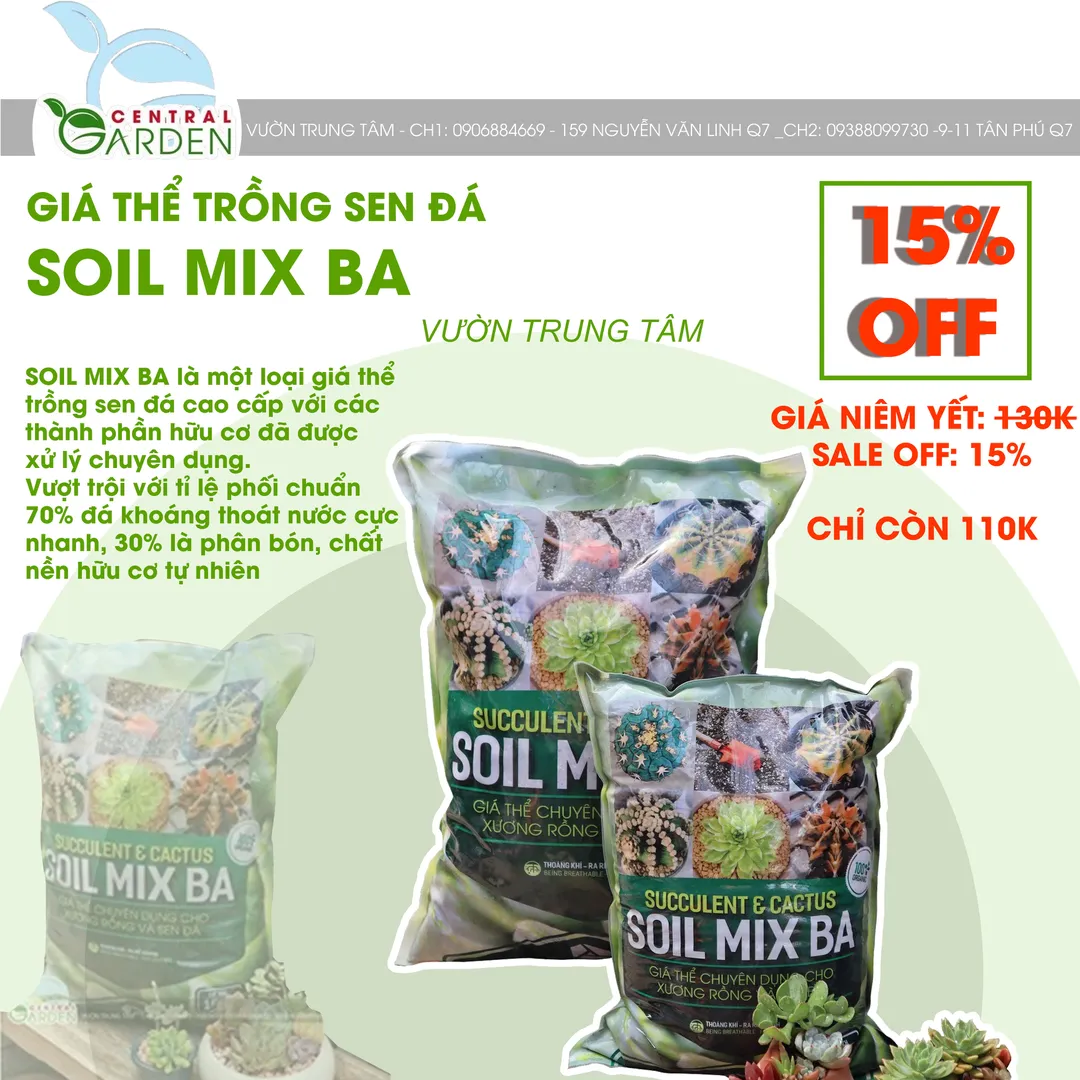 Giá thể trồng sen đá Soil Mix