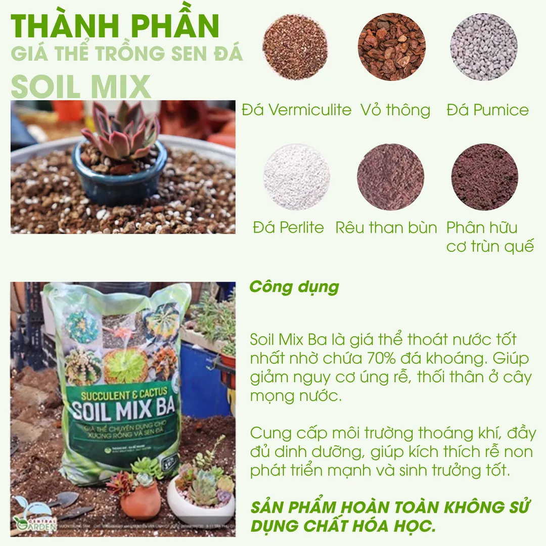 Giá thể trồng sen đá Soil Mix