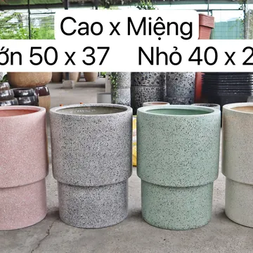 Chậu composite ly