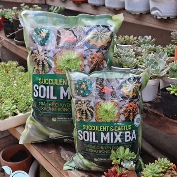 Giá thể trồng sen đá Soil Mix