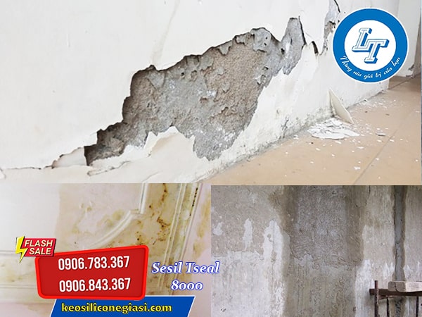 bạn đã biết? Keo trám rò rỉ ống nước, nền gạch tốt nhất hiện nay bạn đã biết? Keo trám rò rỉ ống nước, nền gạch tốt nhất hiện nay