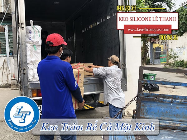 mua keo Apollo a500 dán bể cá, mặt kính phổ biến nhất  mua keo Apollo a500 dán bể cá, mặt kính phổ biến nhất