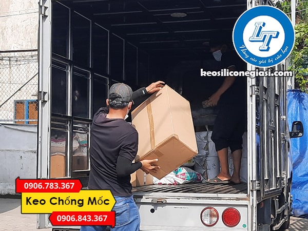 combo thùng keo chống mốc x’traseal SN- 505 giá sỉ rẻ nhất combo thùng keo chống mốc x’traseal SN- 505 giá sỉ rẻ nhất